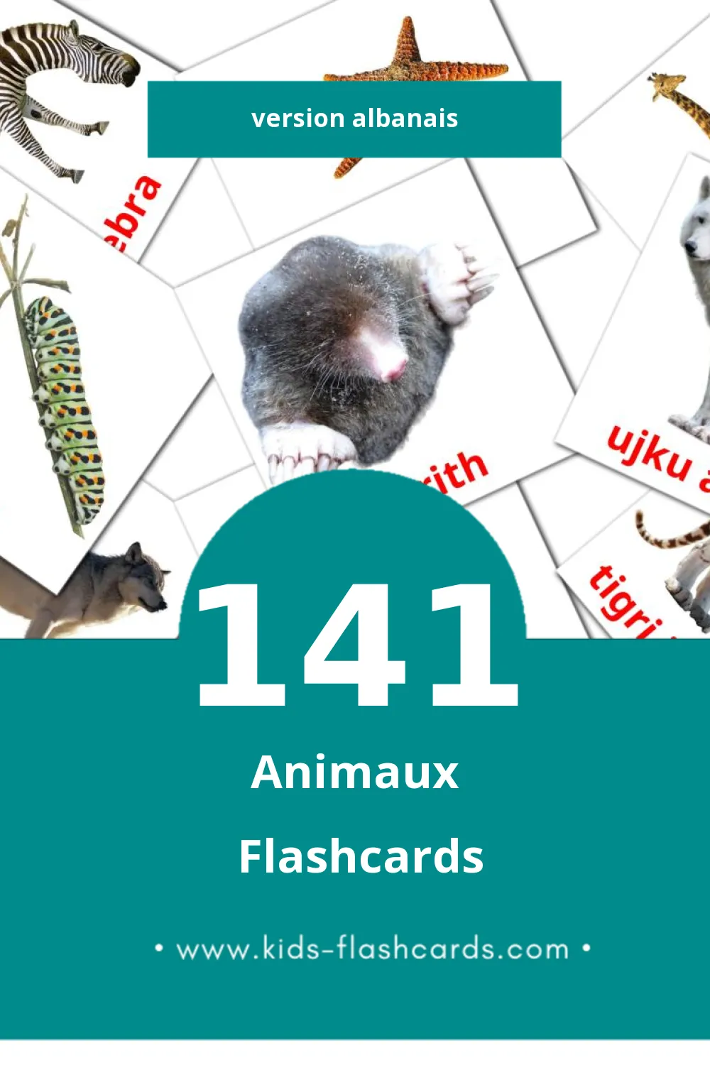 Flashcards Visual Kafshët pour les tout-petits (141 cartes en Albanais)