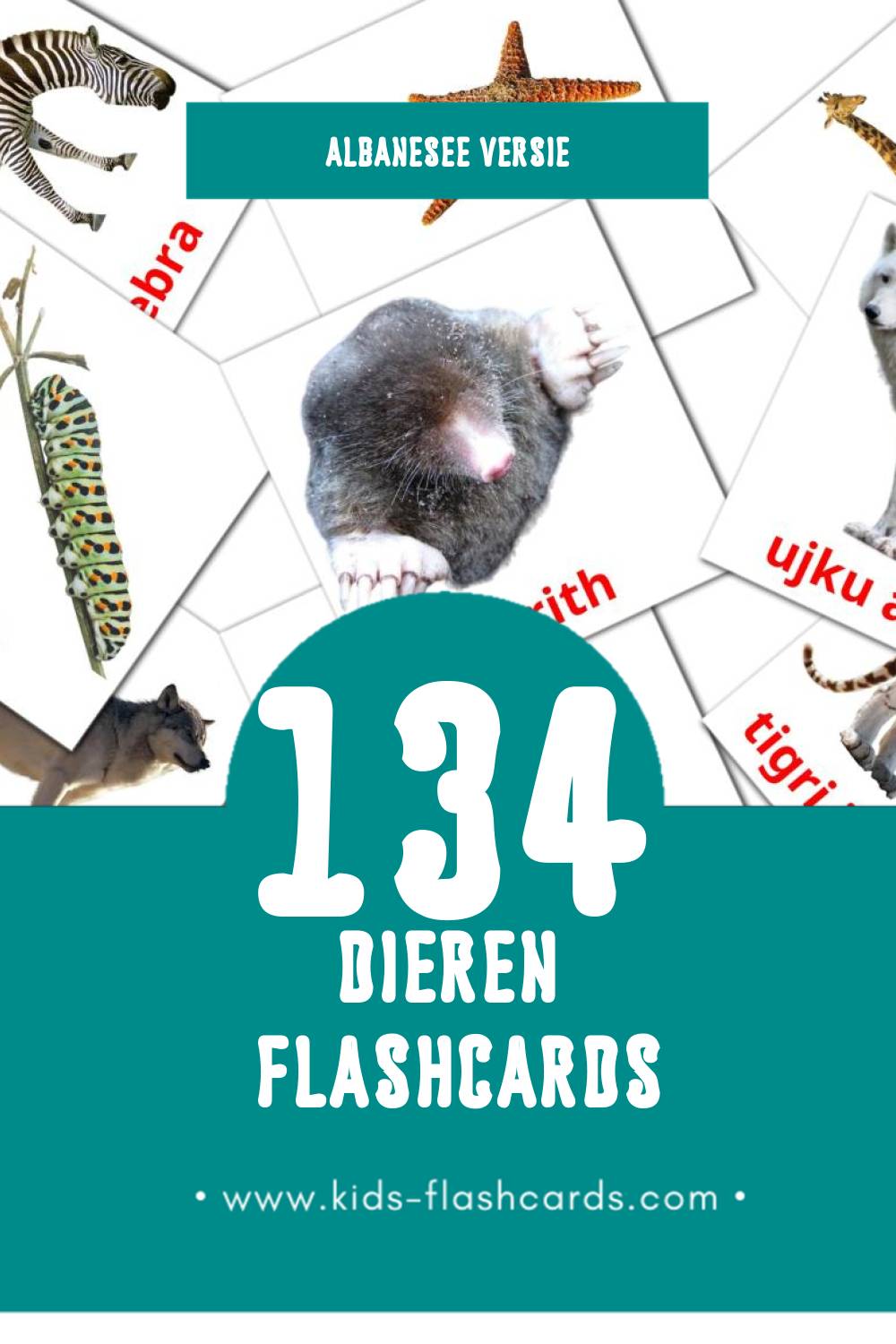 Visuele Kafshët Flashcards voor Kleuters (134 kaarten in het Albanese)