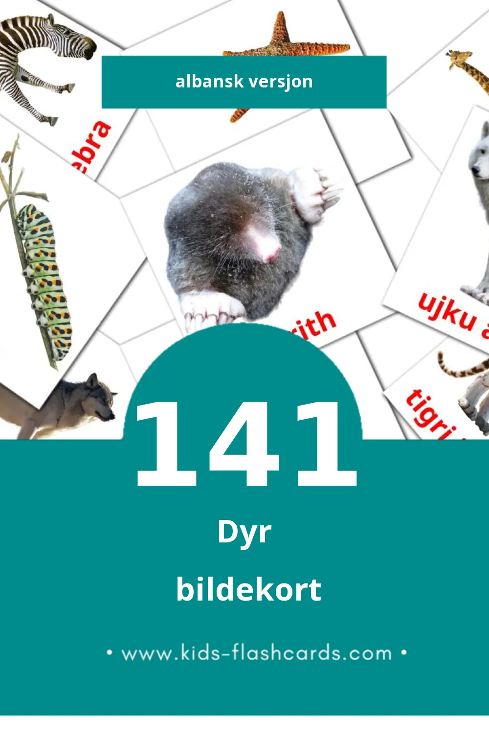 Visuelle Kafshët bildekort for småbarn (141 kort på Albansk)