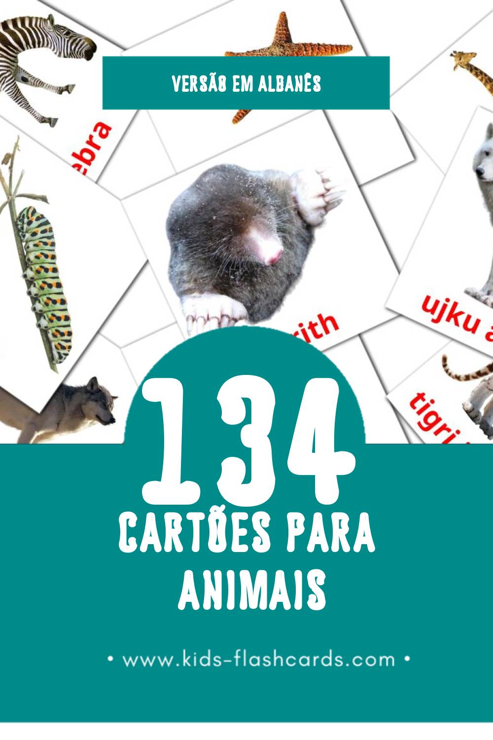 Flashcards de Kafshët Visuais para Toddlers (134 cartões em Albanês)