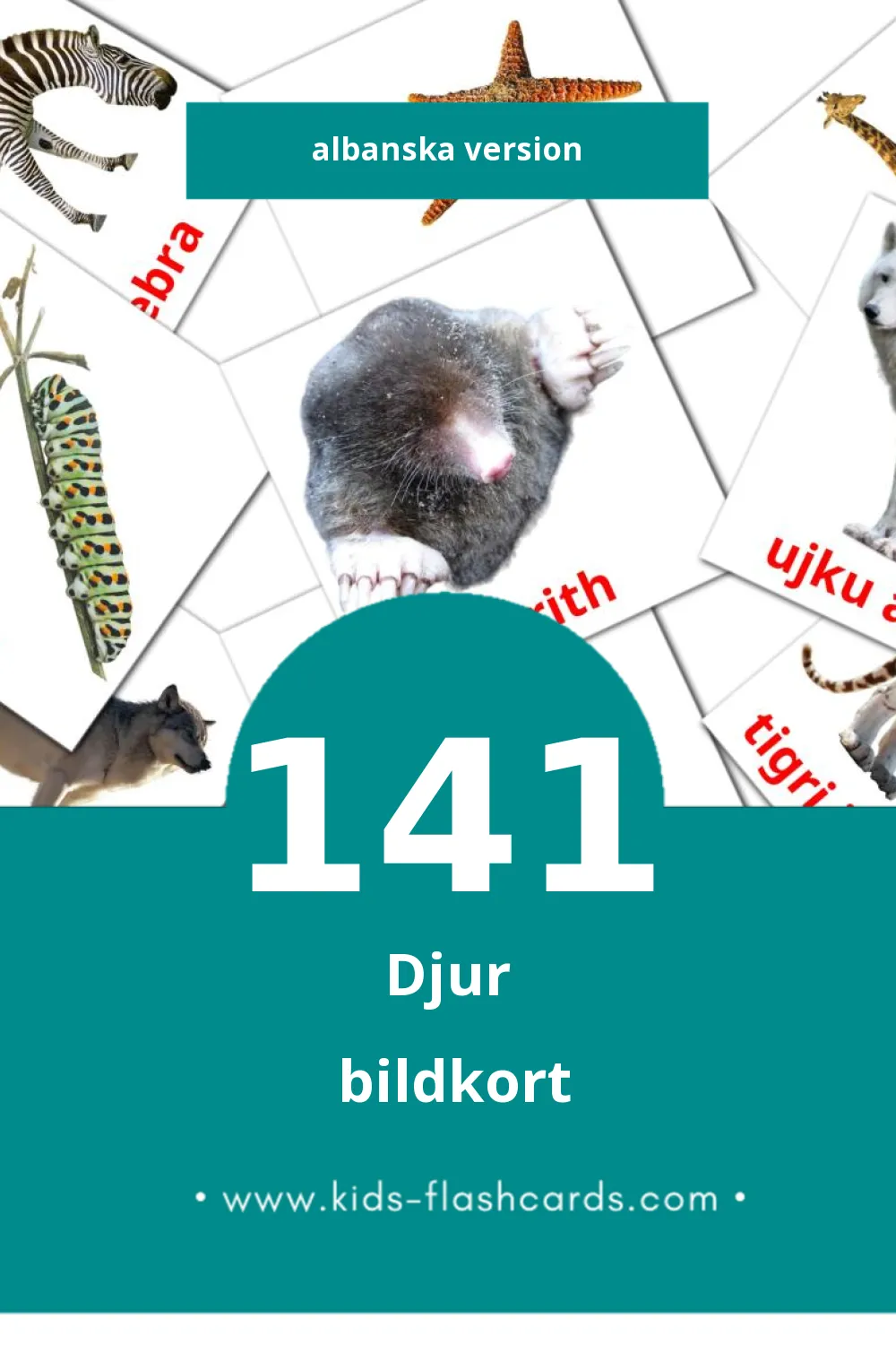 Visuella Kafshët för småbarn (141 bildkort för barn på Albanska)