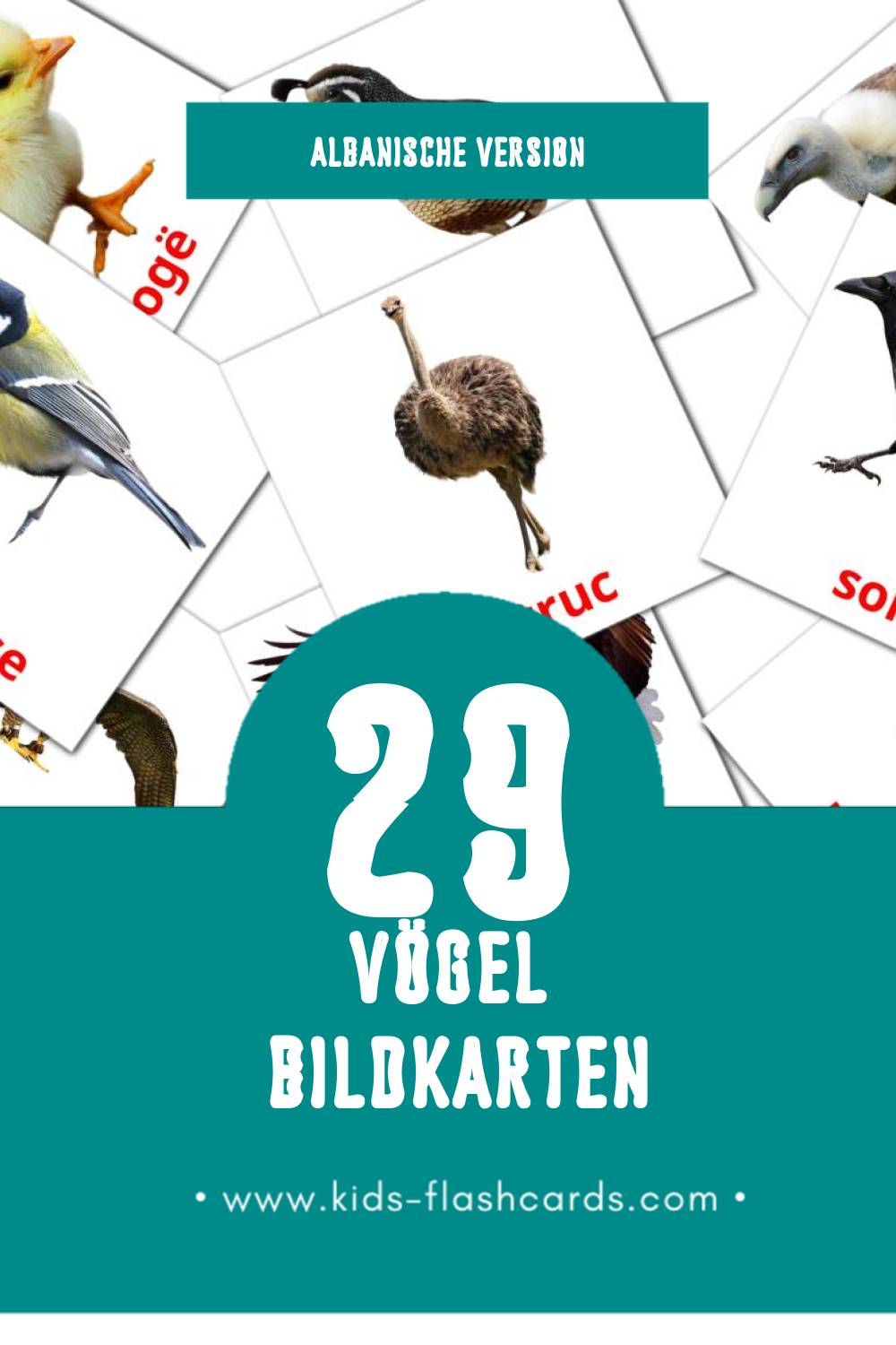 Visual Shpendet Flashcards für Kleinkinder (29 Karten in Albanisch)