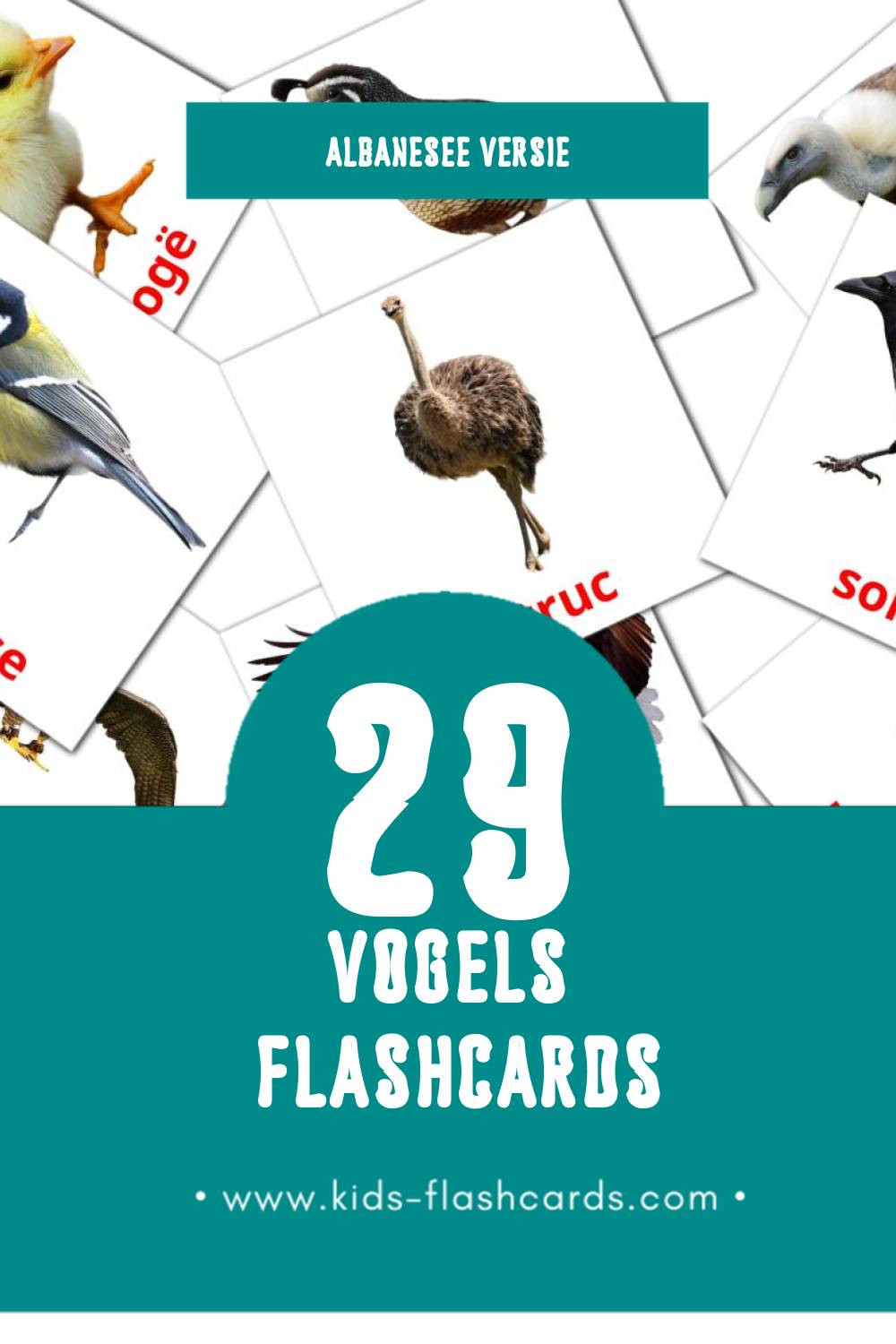 Visuele Shpendet Flashcards voor Kleuters (29 kaarten in het Albanese)