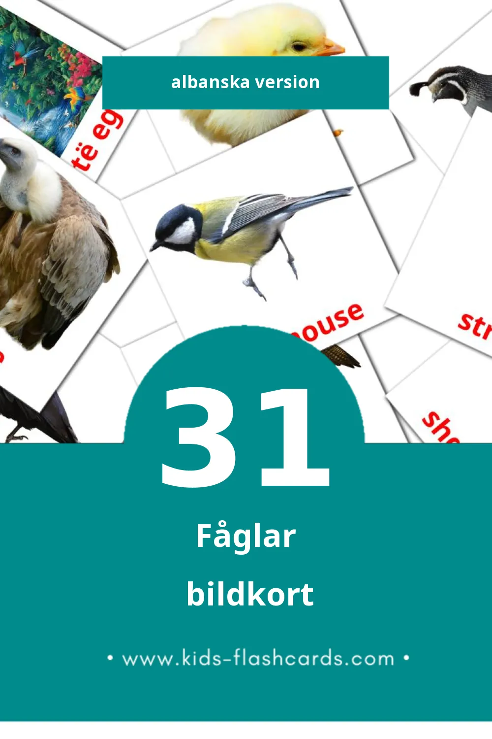 Visuella Shpendet för småbarn (31 bildkort för barn på Albanska)