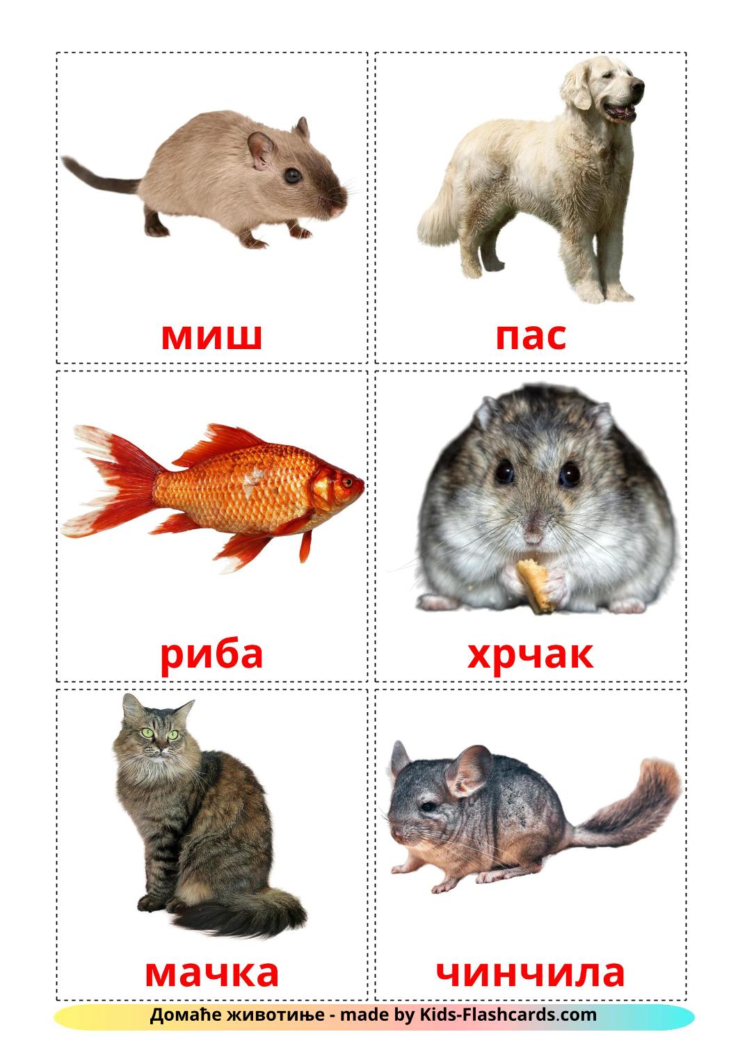 Domestic animals - 10 Free Printable serbian(cyrillic) Flashcards 