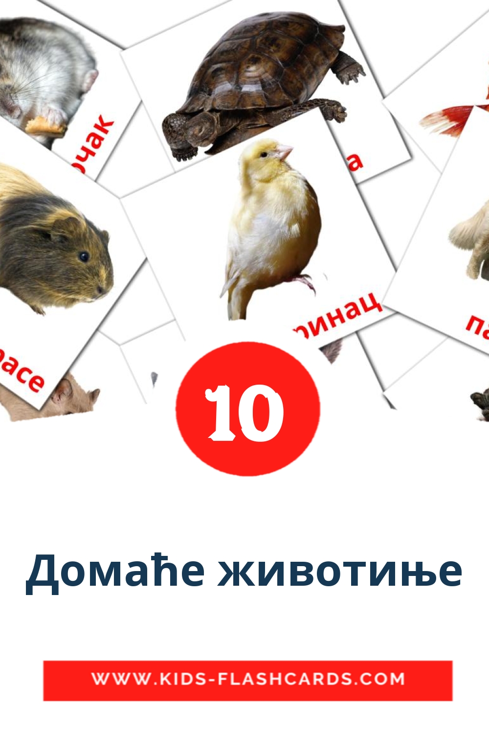 10 Домаће животиње Picture Cards for Kindergarden in serbian(cyrillic)