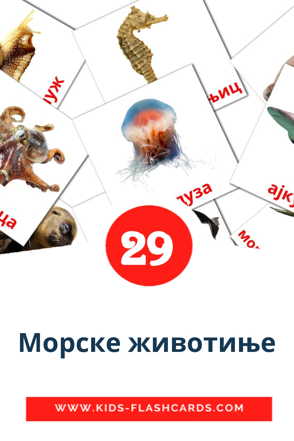 Морске животиње на сербский(кириллица) для Детского Сада (29 карточек)