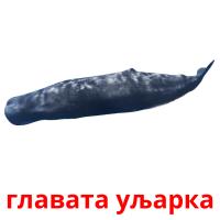 главата уљарка picture flashcards