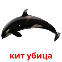 кит убица picture flashcards