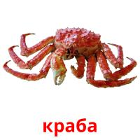 краба picture flashcards