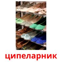 ципеларник карточки энциклопедических знаний