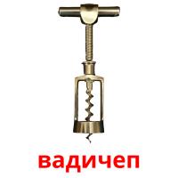 вадичеп карточки энциклопедических знаний