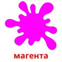 магента picture flashcards