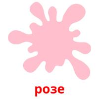 розе picture flashcards