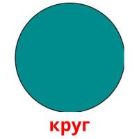 круг карточки энциклопедических знаний