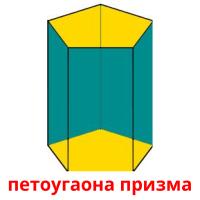 петоугаона призма picture flashcards