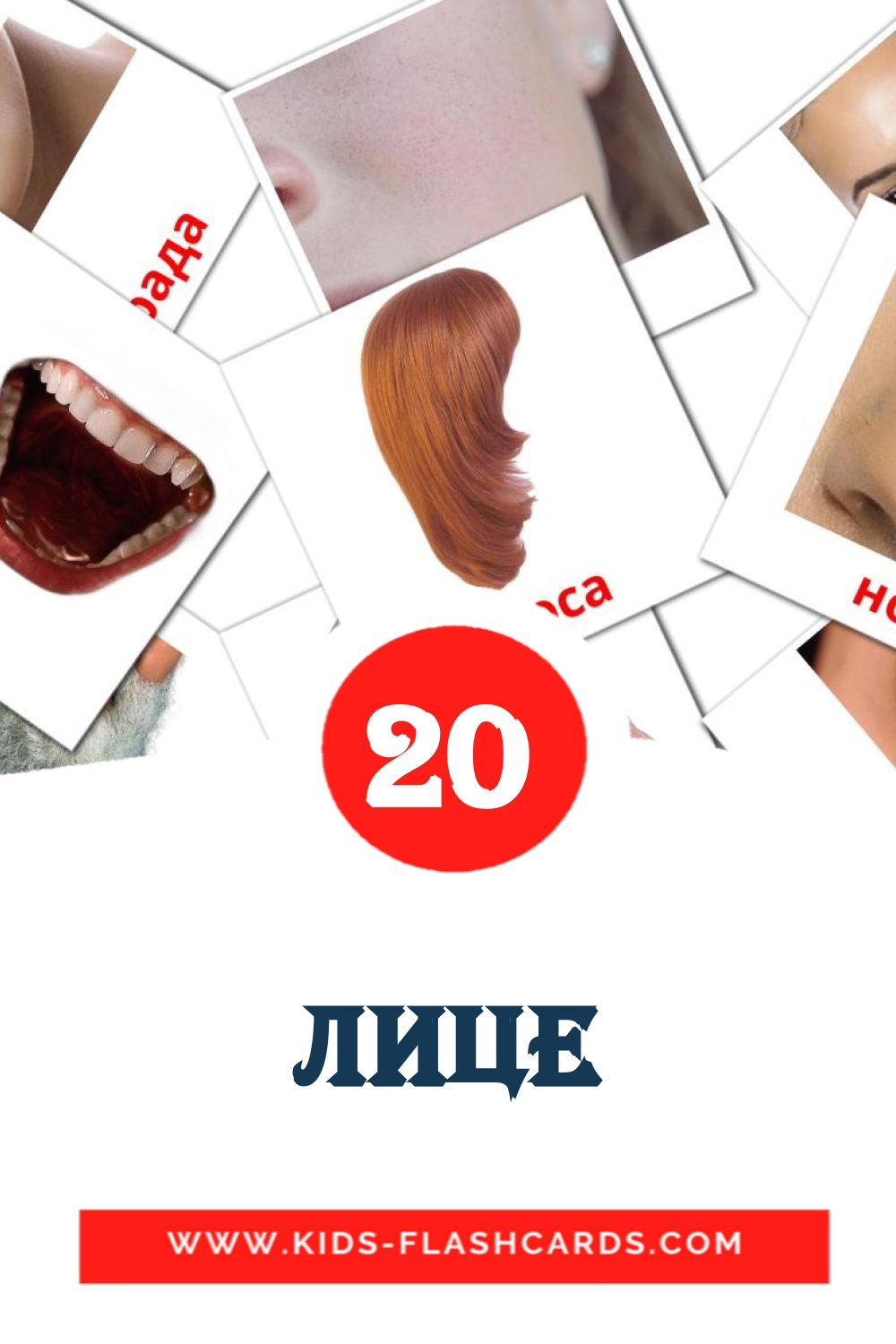 20 carte illustrate di Лице per la scuola materna in serbo(cirillico)