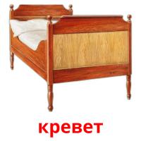 кревет карточки энциклопедических знаний