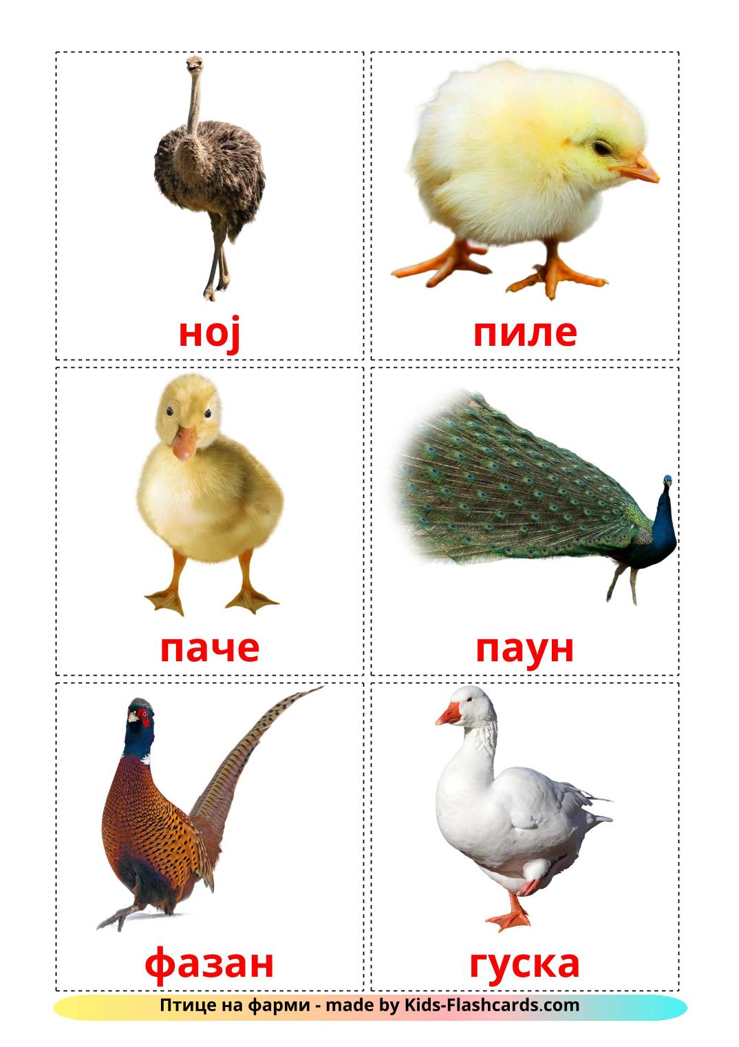 Farm birds - 11 Free Printable serbian(cyrillic) Flashcards 