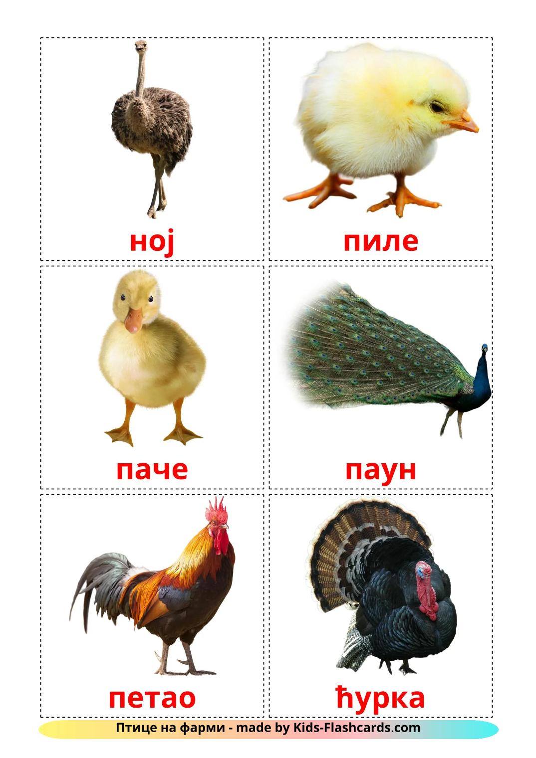 Aves da Quinta - 12 Flashcards sérvio(cirílico)es gratuitos para impressão