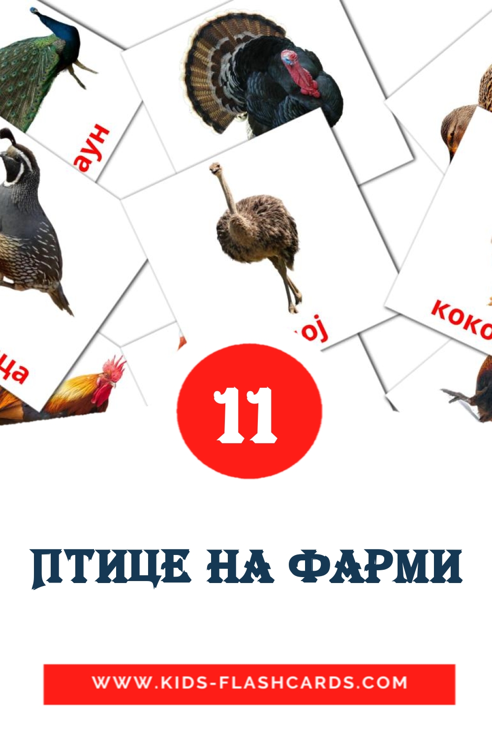 Птице на фарми на сербский(кириллица) для Детского Сада (11 карточек)