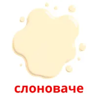 слоноваче flashcards illustrate