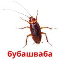 бубашваба card for translate