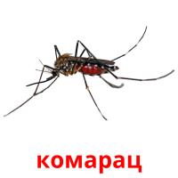 комарац card for translate