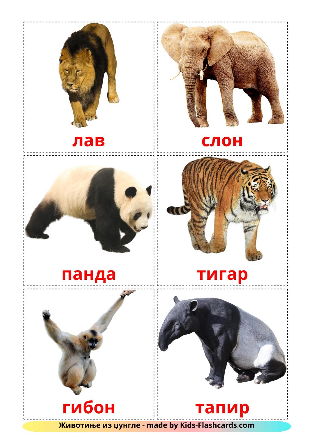 Les Animaux de la Jungle - 21 Flashcards serbe(cyrillique) imprimables gratuitement