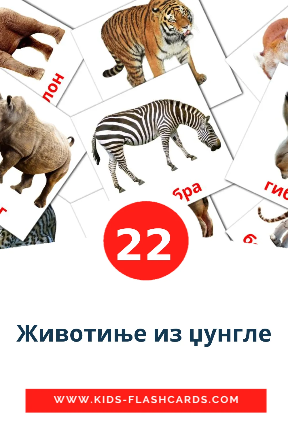 Животиње из џунгле на сербский(кириллица) для Детского Сада (22 карточки)