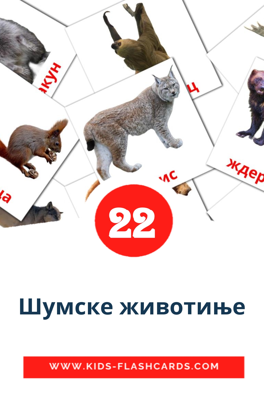 Шумске животиње на сербский(кириллица) для Детского Сада (22 карточки)