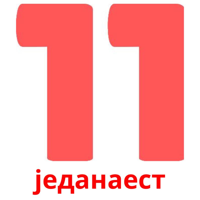 jеданаест picture flashcards