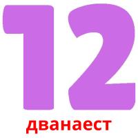 дванаест picture flashcards