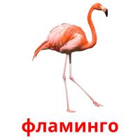 фламинго card for translate