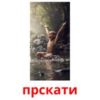 прскати picture flashcards