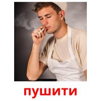 пушити picture flashcards