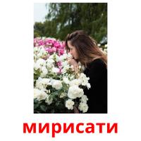 мирисати picture flashcards