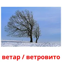 ветар / ветровито cartões com imagens