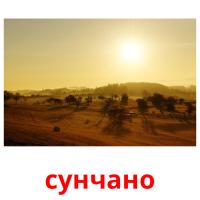 сунчано flashcards illustrate