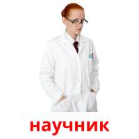 научник flashcards illustrate