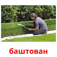 баштован picture flashcards