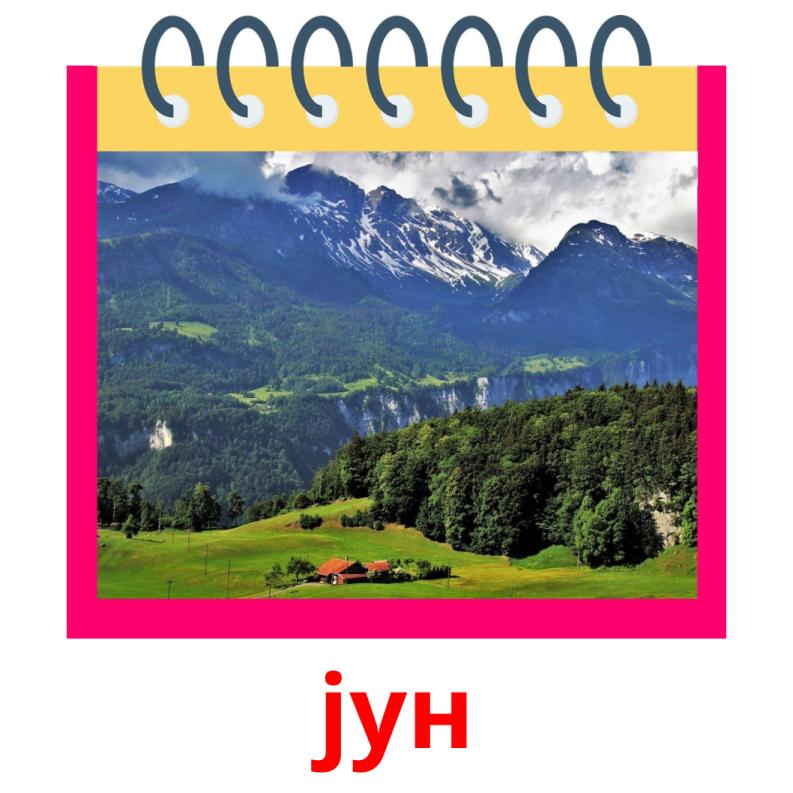 јун picture flashcards