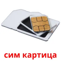 сим картица picture flashcards