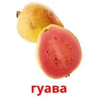 гуава flashcards illustrate