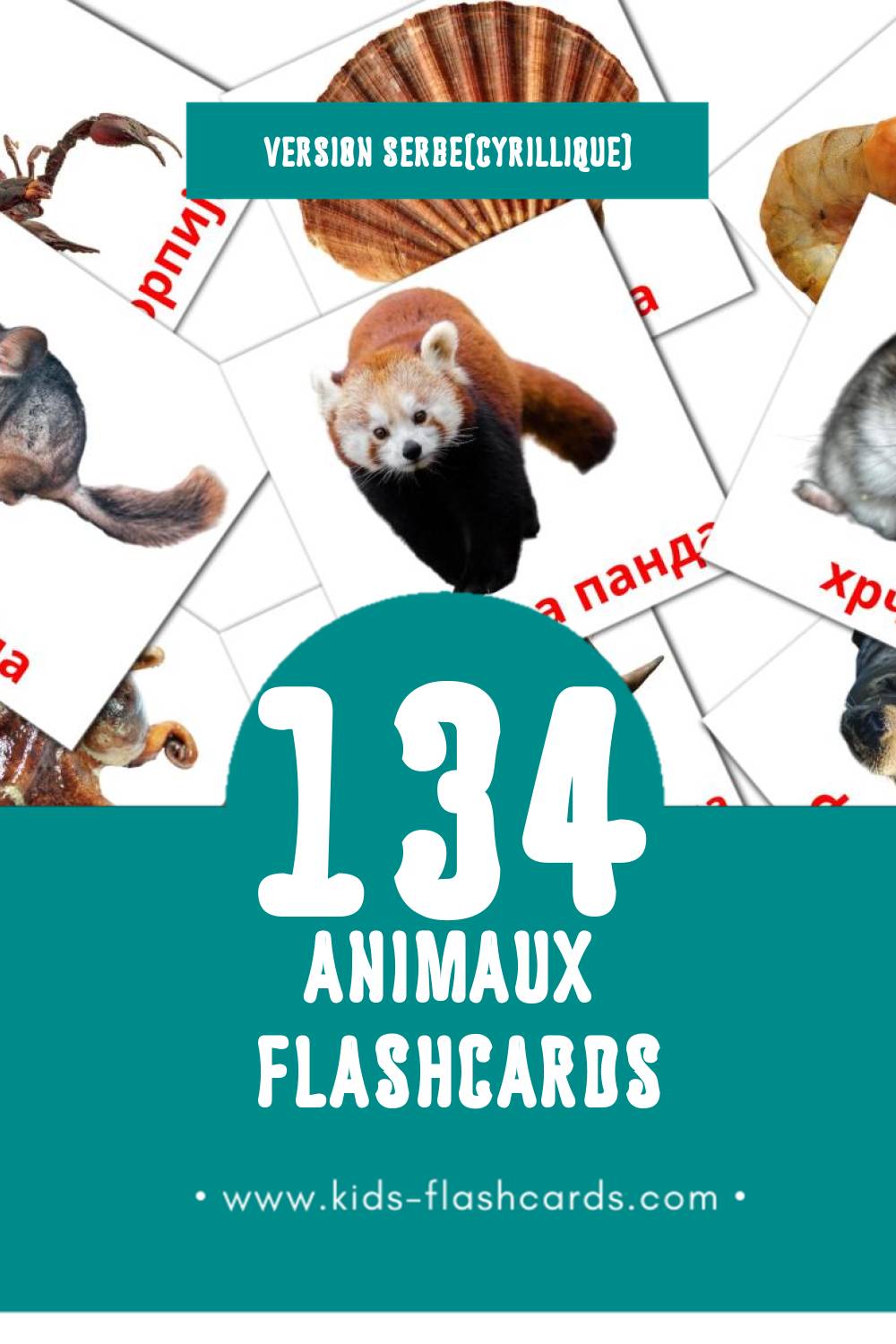 Flashcards Visual Животиње pour les tout-petits (110 cartes en Serbe(cyrillique))