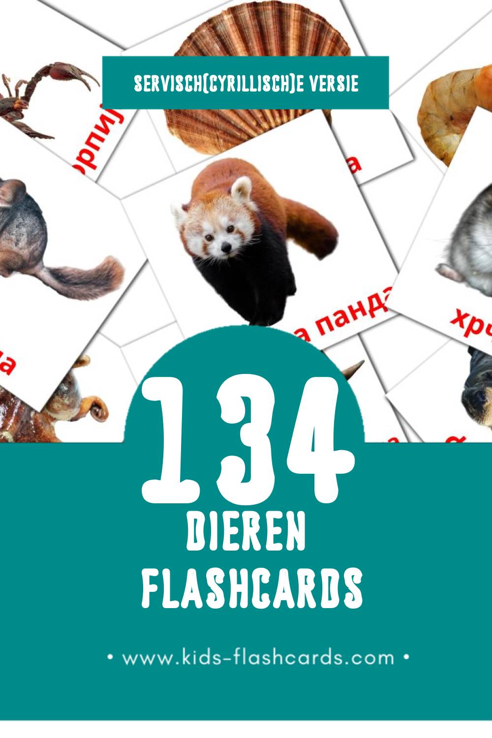 Visuele Животиње Flashcards voor Kleuters (134 kaarten in het Servisch(cyrillisch))
