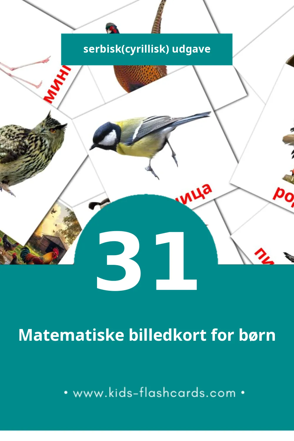 Visuelle billedkort for børn om Птице til småbørn (31 kort på Serbisk(cyrillisk))