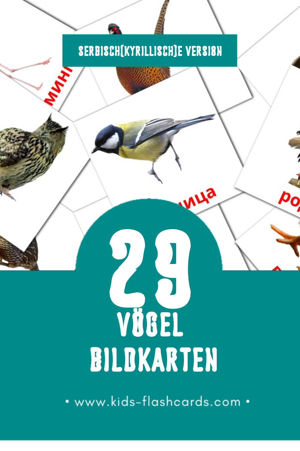 Visual Птице Flashcards für Kleinkinder (29 Karten in Serbisch(kyrillisch))