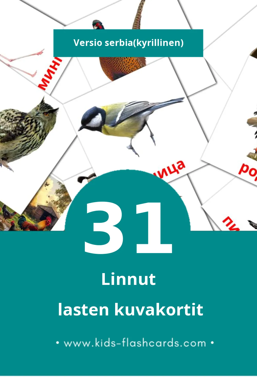 Птице lasten kuvakortit pikkulapsille (31 korttia Serbiaksi(kyrillinen))