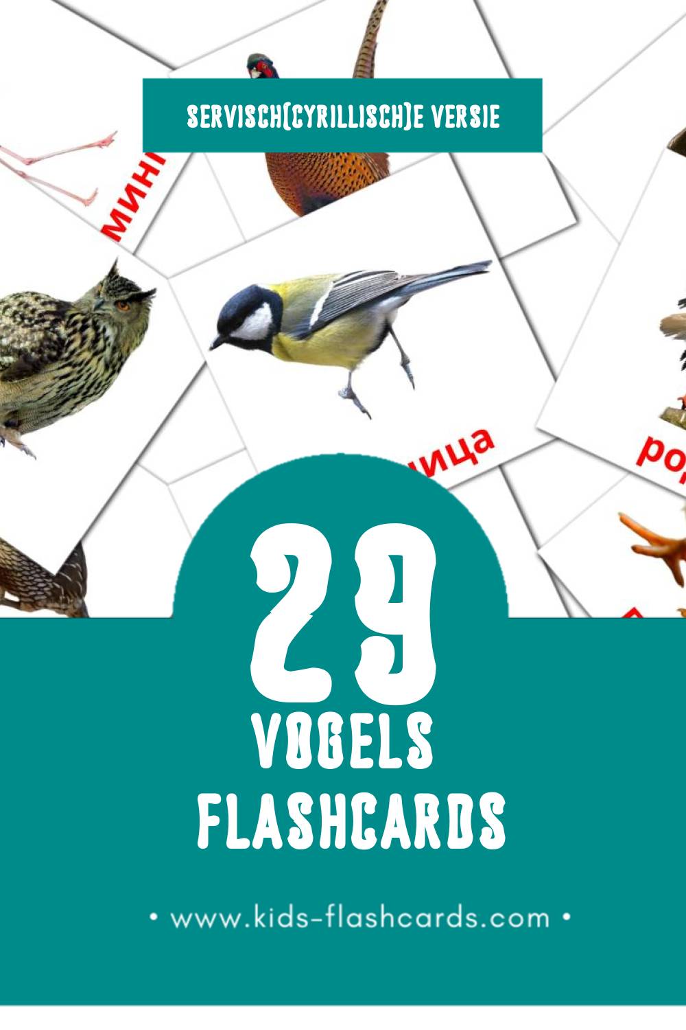 Visuele Птице Flashcards voor Kleuters (29 kaarten in het Servisch(cyrillisch))